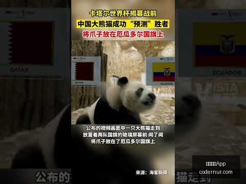 养老护理员,八级工,晋升之路,米兰体育App官网,米兰体育App,米兰体育下载,米兰体育直播,米兰体育平台